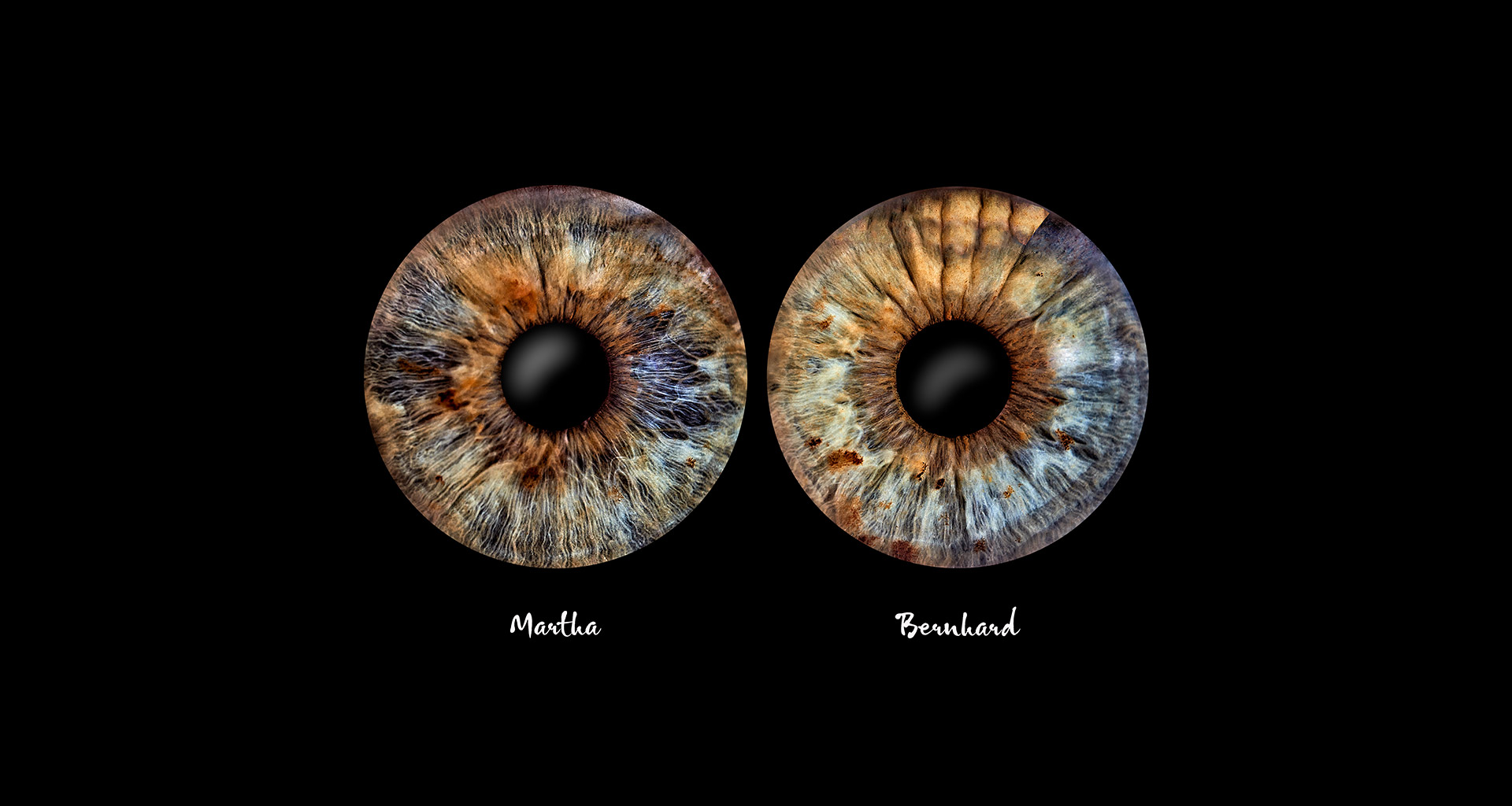 Irisfotografie