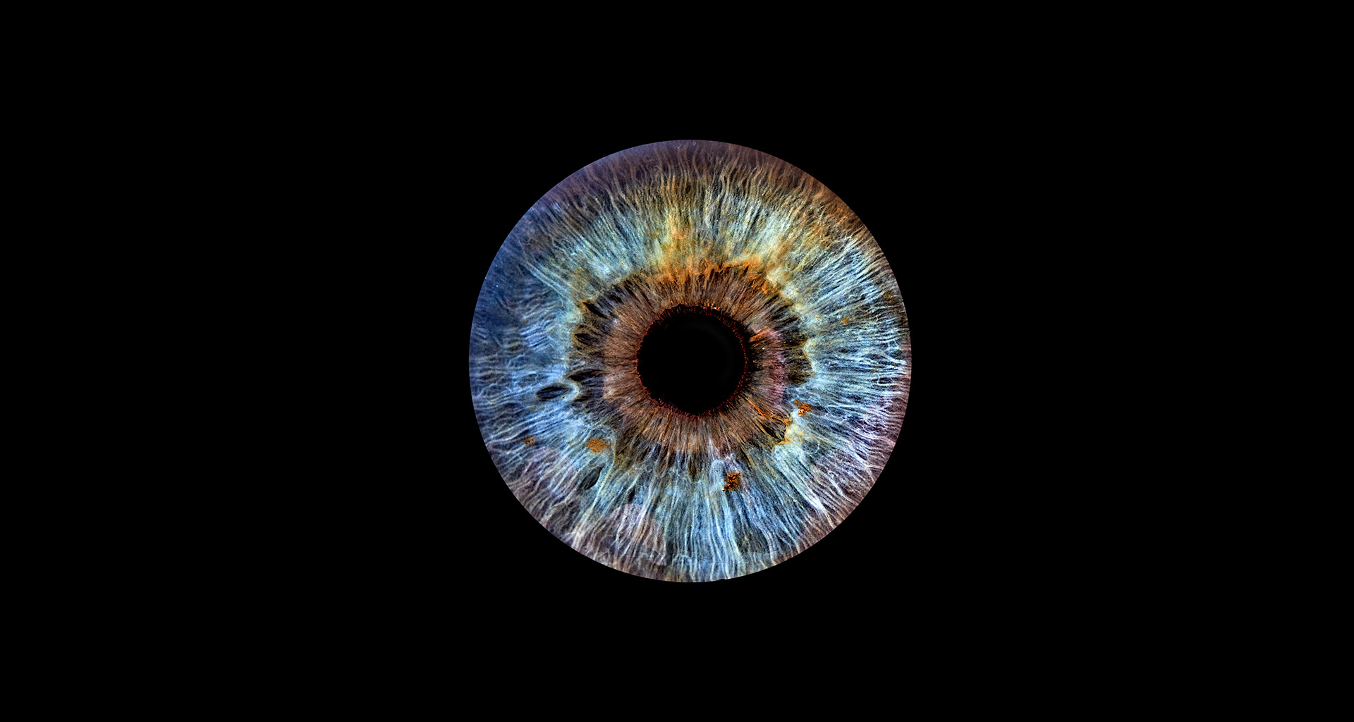 Irisfotografie