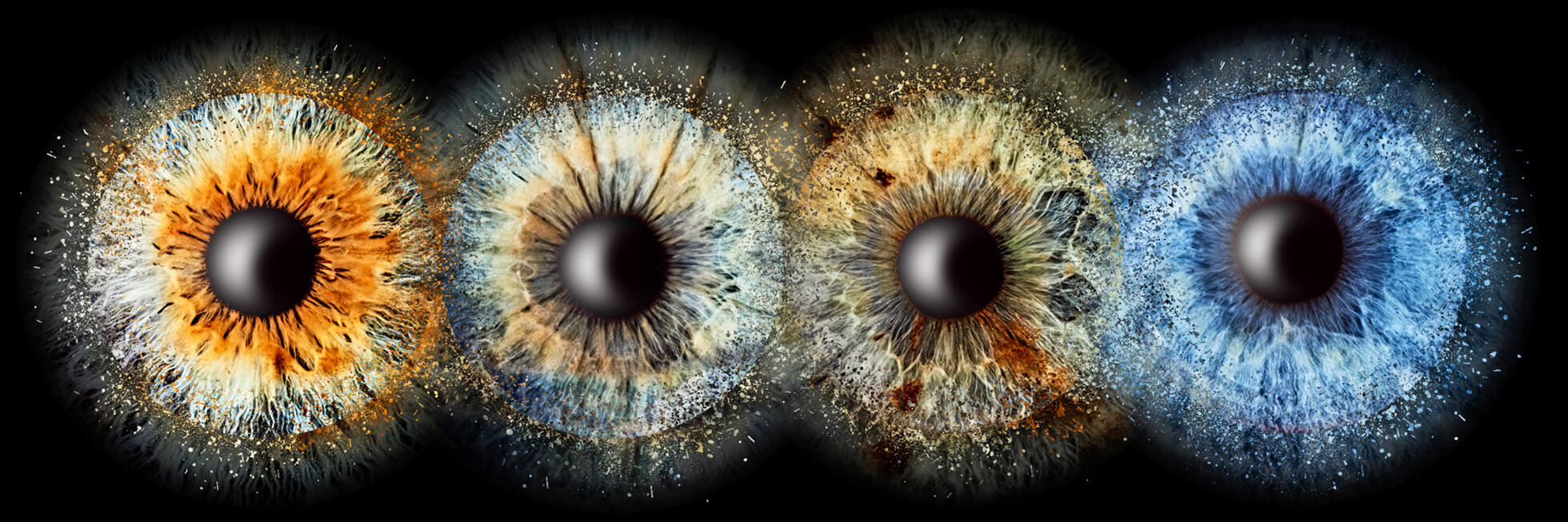 Irisfoto Rainer Mueller Fotografie 4er  combination Panorama